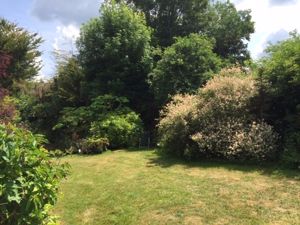 Photo 13- click for photo gallery